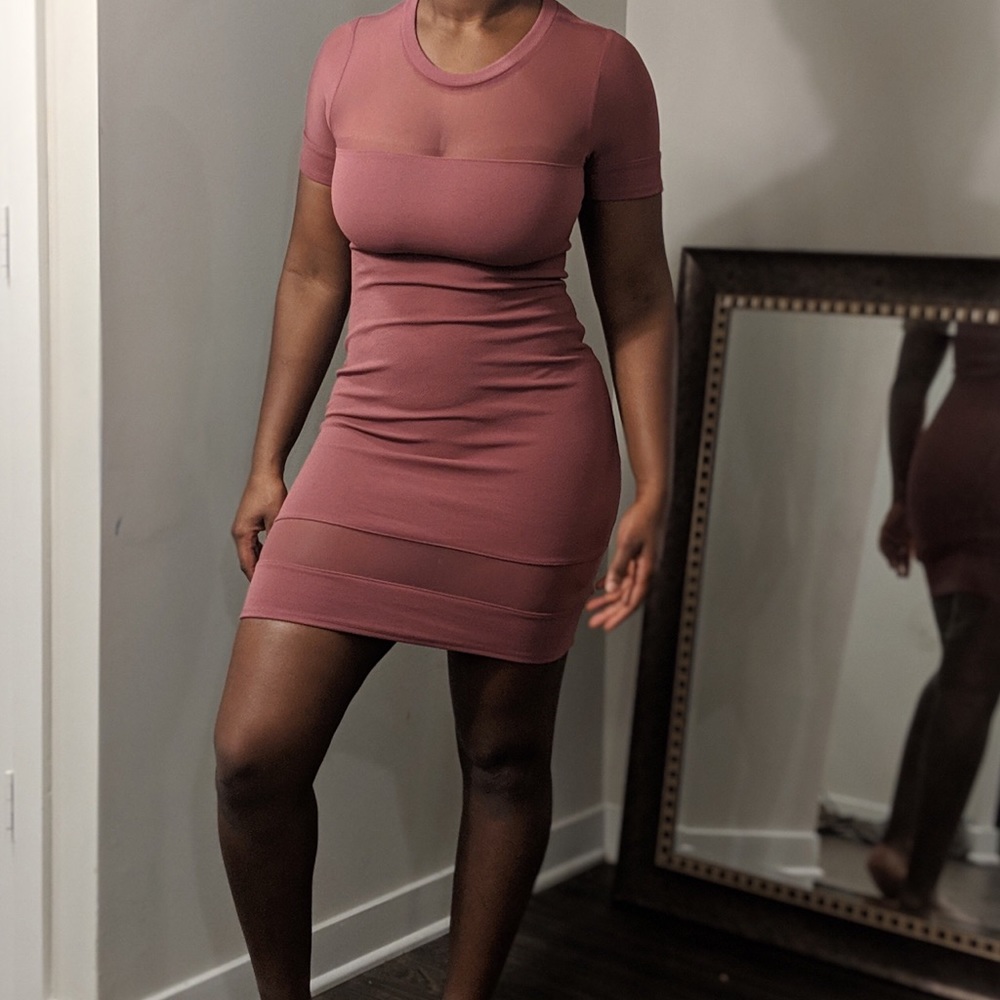 Blush Pink Sheer Dress